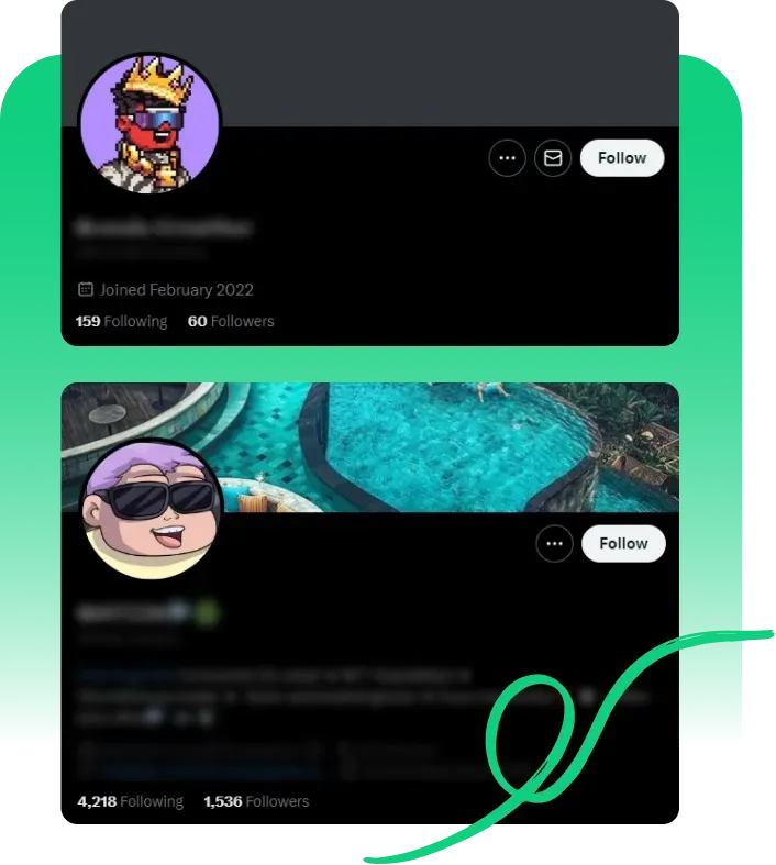 NFT Niche Followers