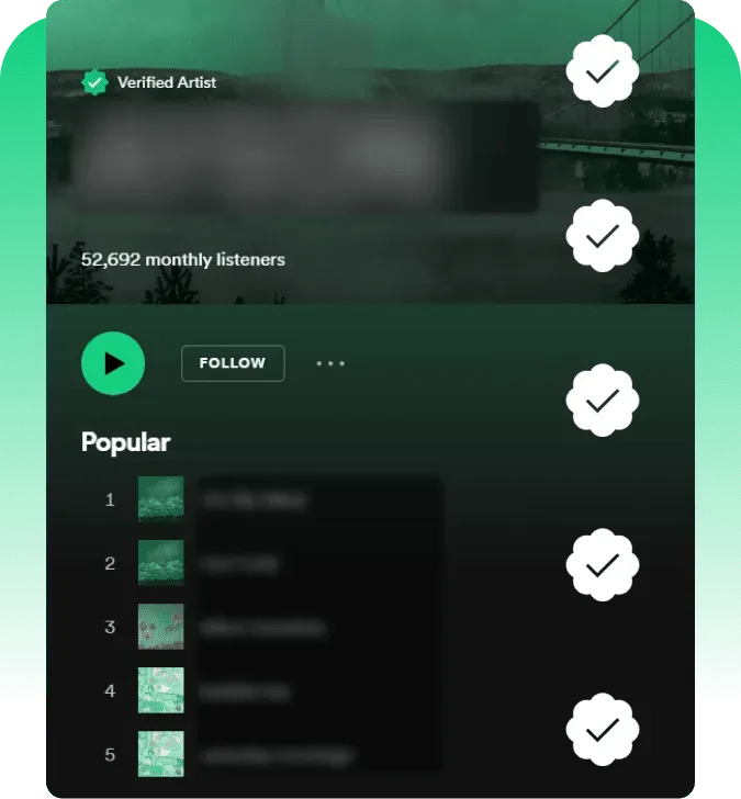 ¿Son los seguidores de Spotify adecuados para todo el mundo?