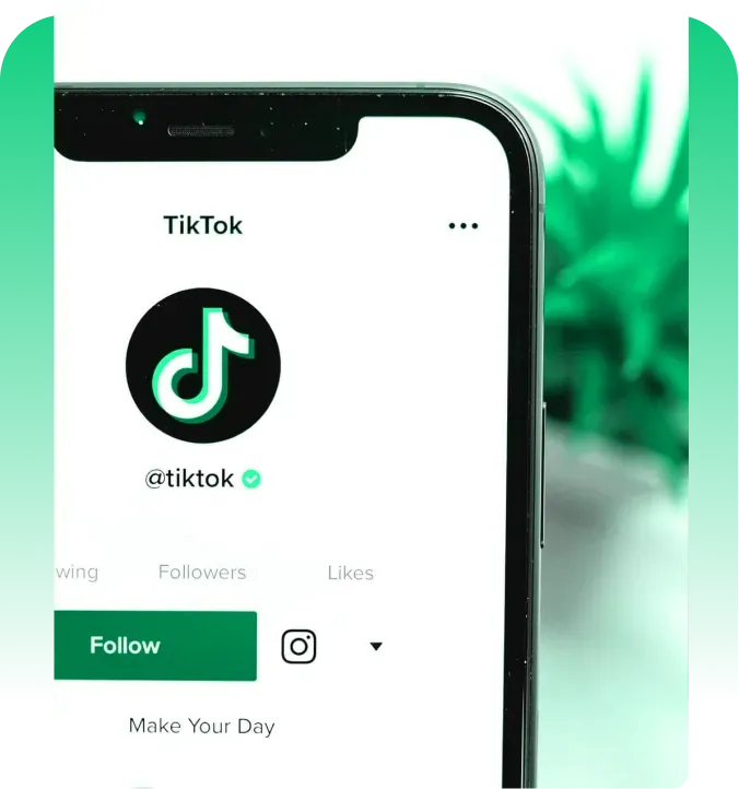 A Trustworthy Service for Buying TikTok Likes