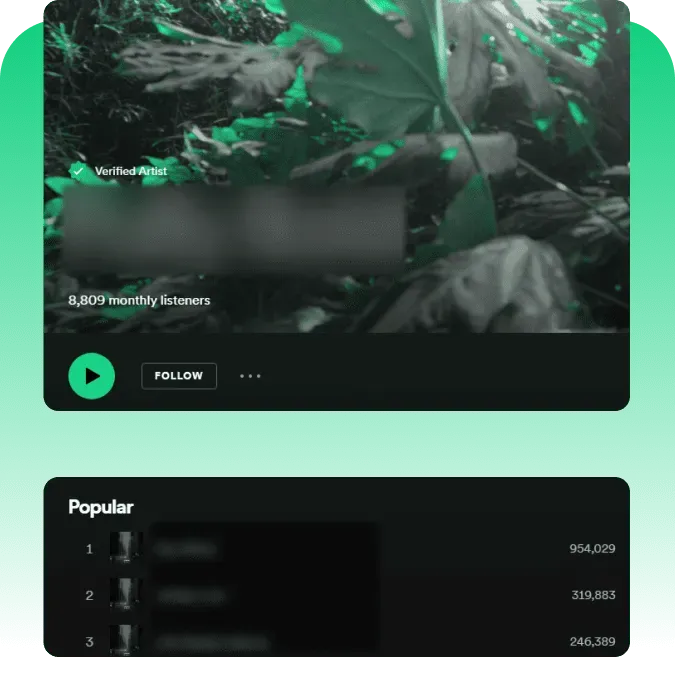 Who Should Think About Buying Spotify Plays?