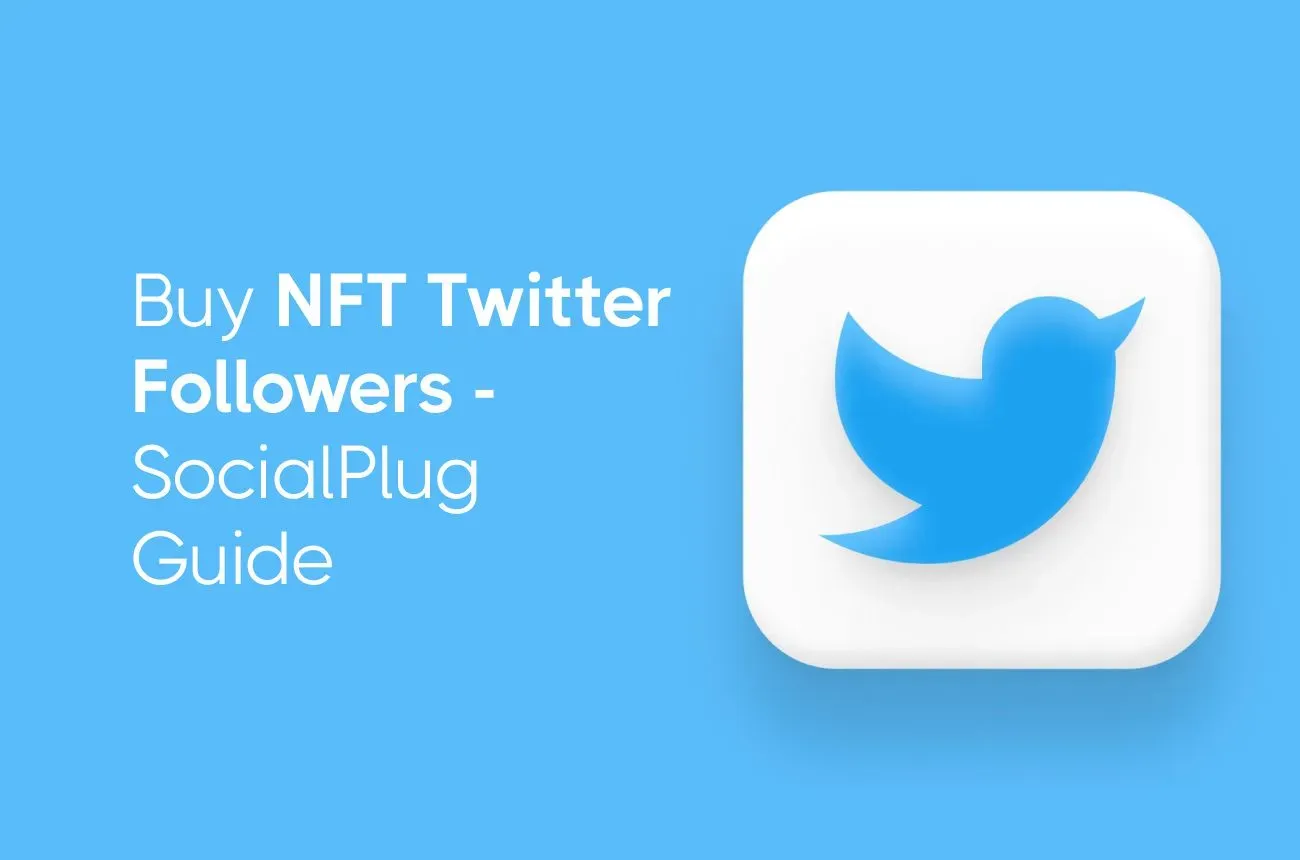 Buy NFT Twitter followers guide